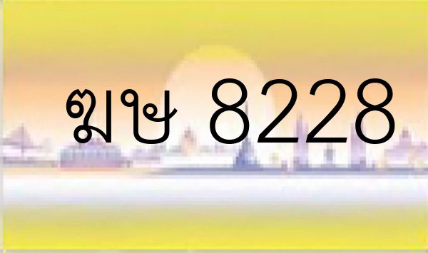 ฆษ 8228